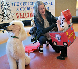 Georgina Kennel & Obedience Club